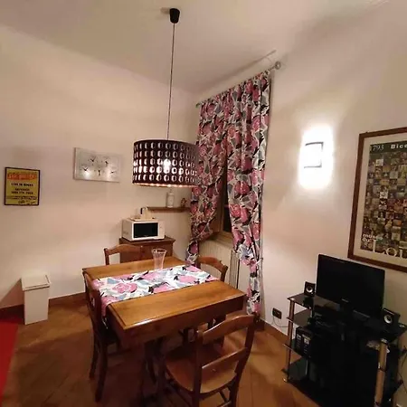 Apartament New